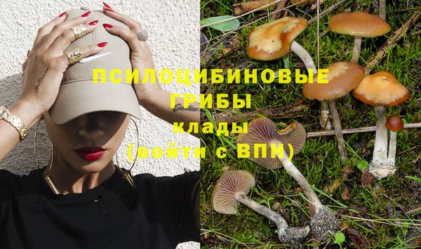 хмурый Михайловск