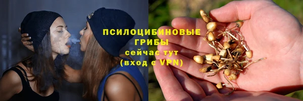 прущий лед Алексин