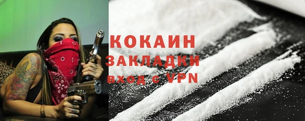 шишки Алзамай