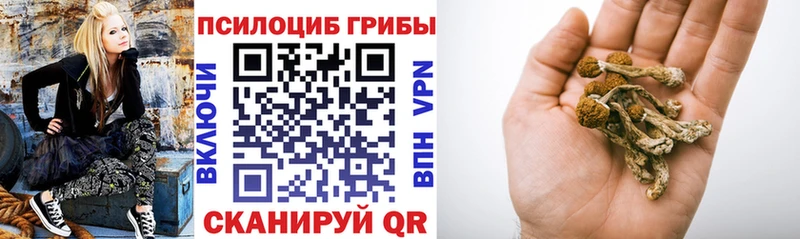 Псилоцибиновые грибы GOLDEN TEACHER  Малаховка 
